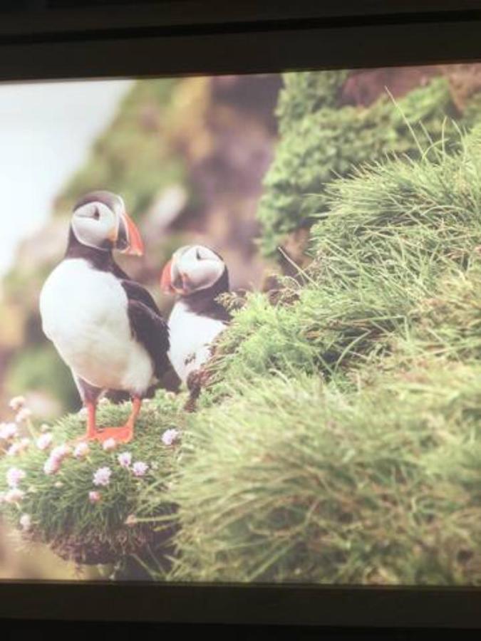 Hardy'S Cottage Doolin Exterior foto